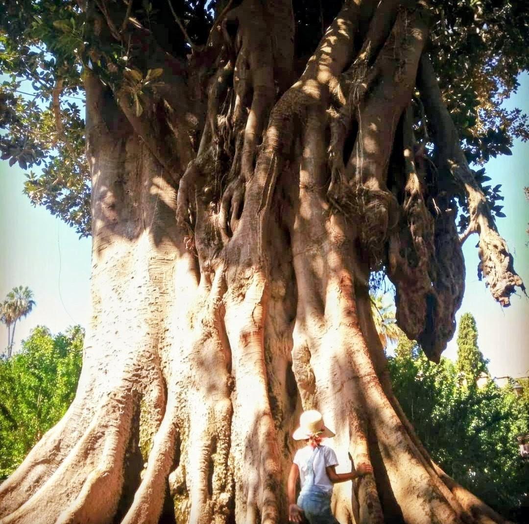 Ingrid Pierre Palmié Kinésiologie